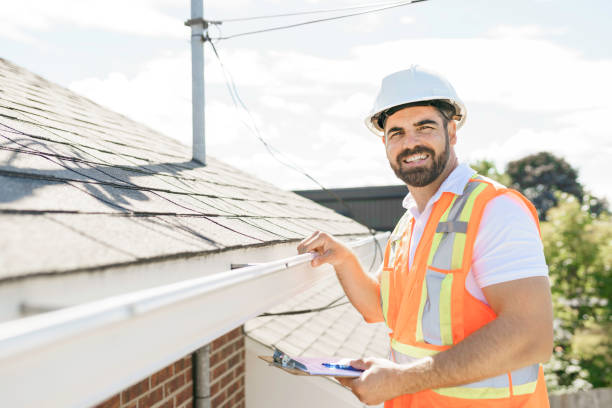 Best Roof Moss and Algae Removal  in Statham, GA